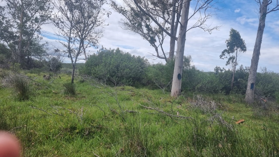 3 Bedroom Property for Sale in Albertinia Western Cape